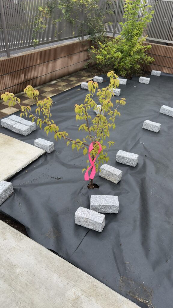 施工中の植林とマット敷の写真